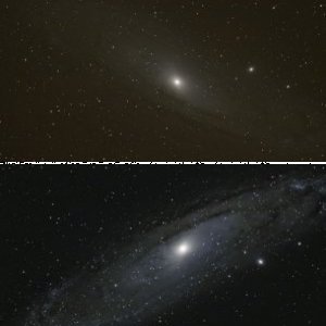 M31