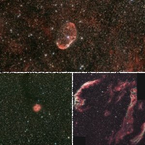 Bilder im zweiten Jahr der EBV