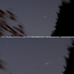 Komet Lovejoy am Abendhimmel