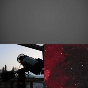 NGC 2264 - 45mm am C11-Hyperstar