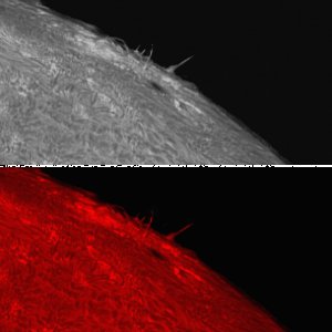 Sonnenfleck 2192 vom 17.10.  in H-alpha f und sw