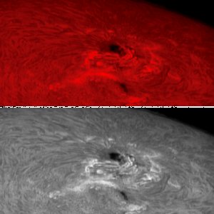 Sonnenfleck 2192 vom 19.10.  in H-alpha f und sw