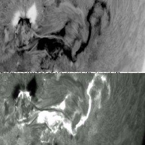 "Aktive" AR2192