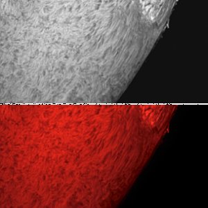 X-flareregion (Fleck 2339) vom 06.05.15