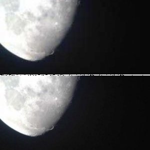 10 Tage Mond