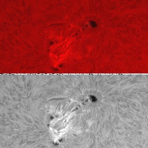 zum Schluss der Sonnenorgie AR 12396 in H-alpha