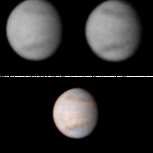 Die schöne Venus