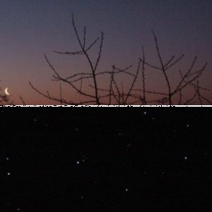 Sonstiges von starrookie