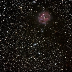 Sonstiges von Sacha