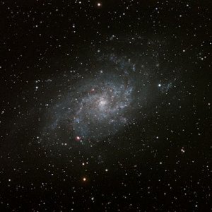Sonstiges von Korvey