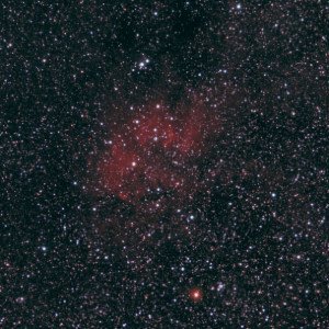 Sonstiges von Thomas_Payer