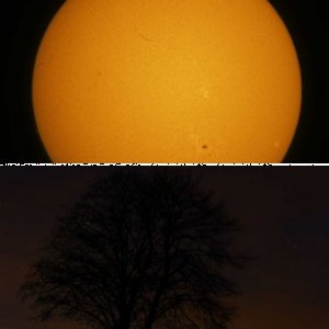 Sonstiges von Astrovi
