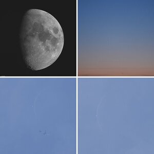 Mond