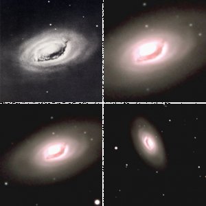 M 64