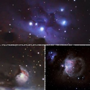 Orion mal filetiert