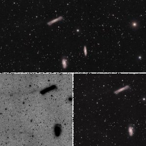 Leo Triplett mit zartem Gezeitenschweif