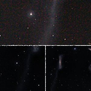 Leo Triplett