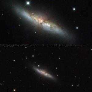 M82