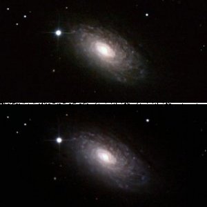 Messier 63 - Die Sonnenblumengalaxie