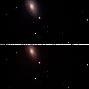 M63 - Die Sonnenblume