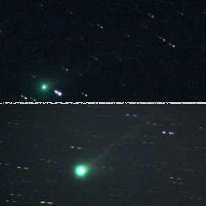 McNaught