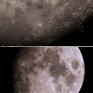 Mond