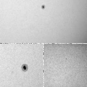 Sonne vom 04.07.10