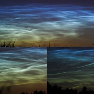 NLC-Details