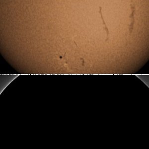 Sonne ha 20100731
