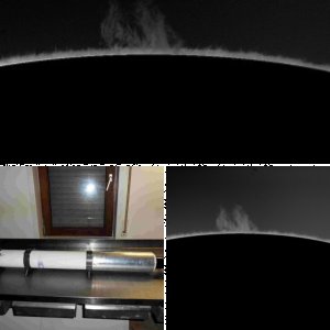 Ha- sonne 20101217