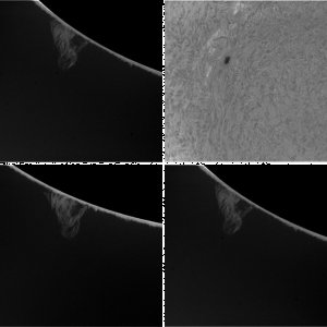 Ha-Sonne 20110102