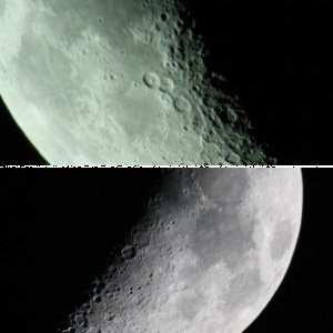 Mond