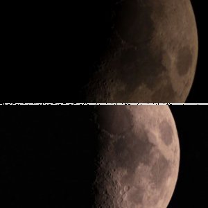 Mond