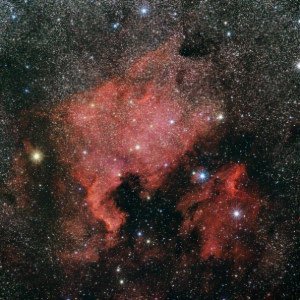 NGC7000