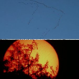 ... und tschüss ... bis morgen  :-)