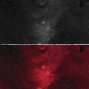 NGC2264 in Ha