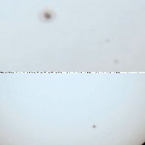 Sonnenausschnitt mit Baader-Sonnenfolie