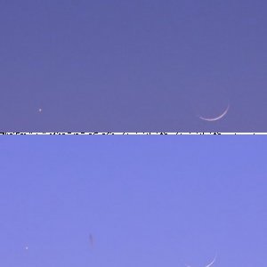 mond