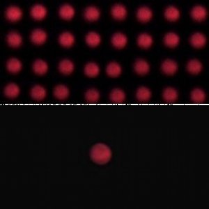 Der Mars auf dem Rückzug