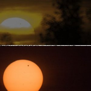Venustransit Barby/Elbe