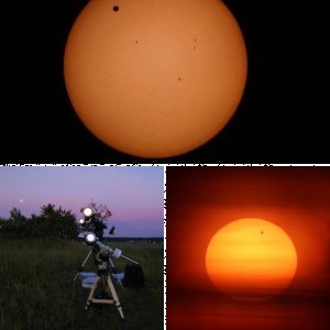 Venustransit