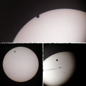 Venustransit