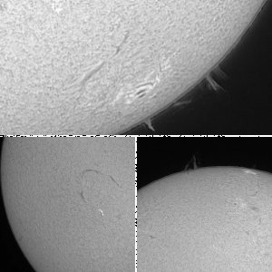 Sonne in H- alpha 18.8.12