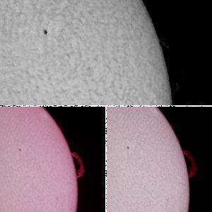 Protube und Sonnenrand 21.10.12 in H-alpha