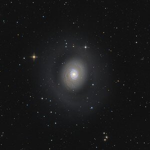 M94