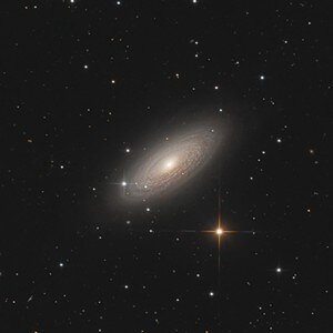 Tigeraugen-Galaxie NGC 2841 (100% Crop)