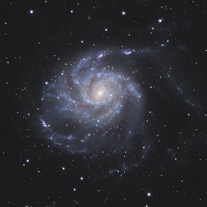 Messier 101 (Feuerradgalaxie) - Widefield