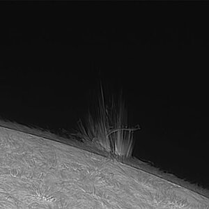 klein17-6-2025--4_1.mp4