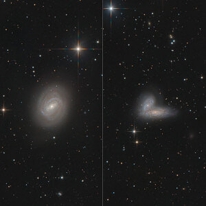 M58 / Siamesische Zwillinge