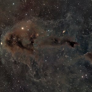 LBN558 DarkNebel-Cluster mit 4" APO